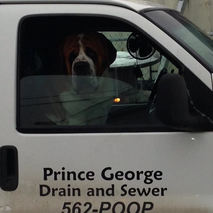PG Drain and Sewer Ltd ad: Prince George Drain and Sewer 562-POOP